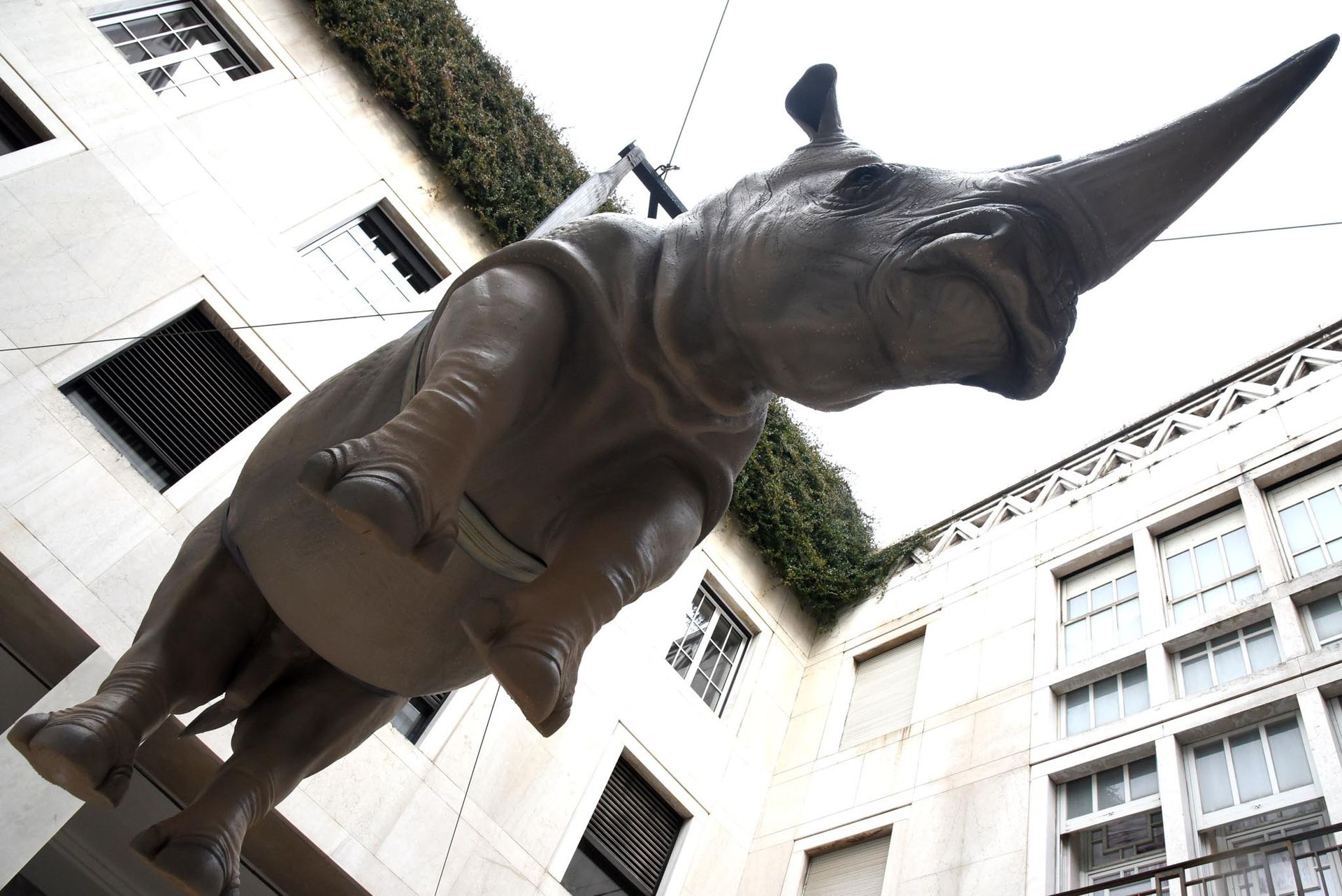 Scopri Brescia - Installazione rinoceronte